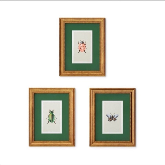 11"x14" Gold Foil Beetle Poster Framed Wall Art Print - Rifle Paper Co. - Picture 5 of 6